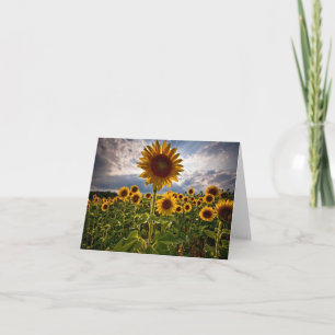Gelbe Sonnenblume Hallo, Liebe, Vermisse Dich Dankeskarte