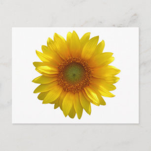 Gelbe Sonnenblume Hallo, Liebe, Vermisse Dich Postkarte