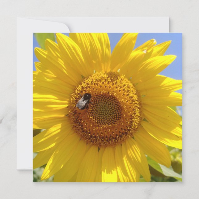 Gelbe Sonnenblume Karte (Vorderseite)
