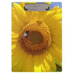 Gelbe Sonnenblume Klemmbrett