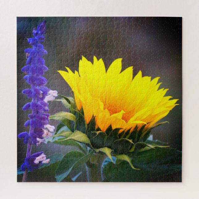 Gelbe Sonnenblume Lila Russisches Blume Foto (Vertikal)