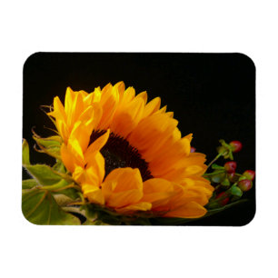 Gelbe Sonnenblume Magnet