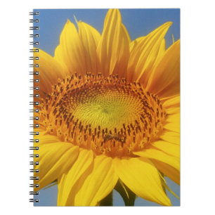 Gelbe Sonnenblume Notizblock