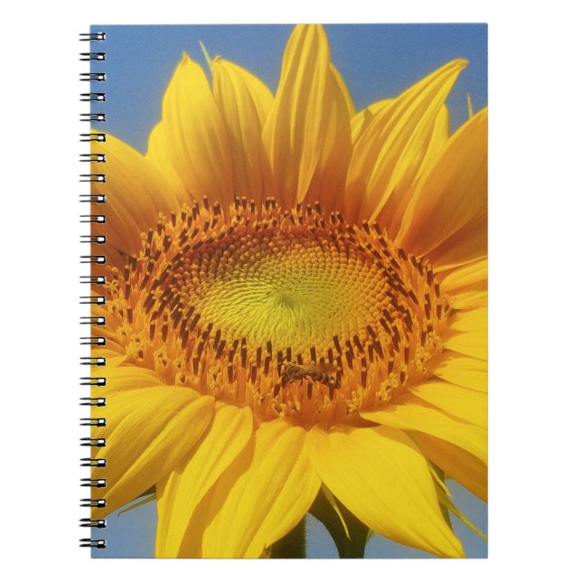 Gelbe Sonnenblume Notizblock (Vorderseite)