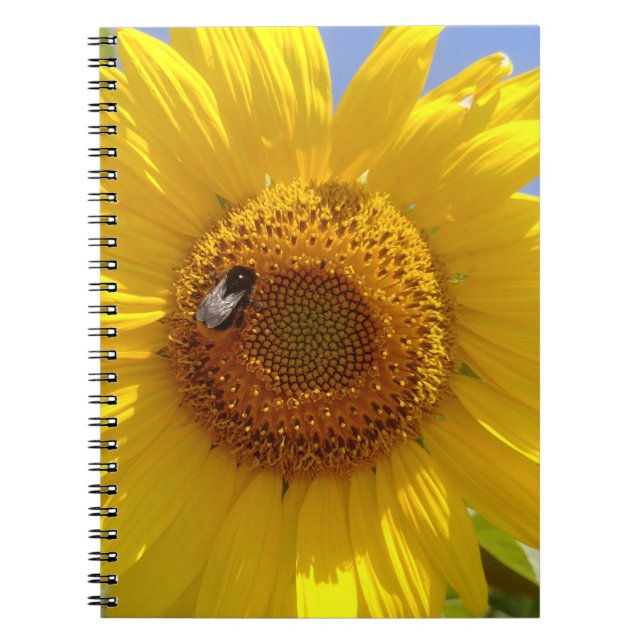 Gelbe Sonnenblume Notizblock (Vorderseite)