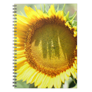 Gelbe Sonnenblume Notizblock