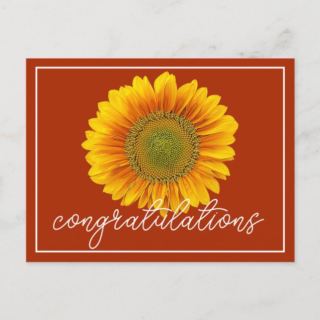 Gelbe Sonnenblume Orange Hintergrund Herzlichen Gl Postkarte (Vorderseite)