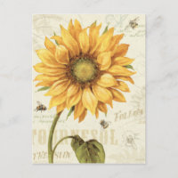 Gelbe Sonnenblume