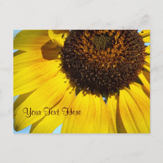 Gelbe Sonnenblume Postkarte. - personalisierbar Postkarte (Vorderseite)