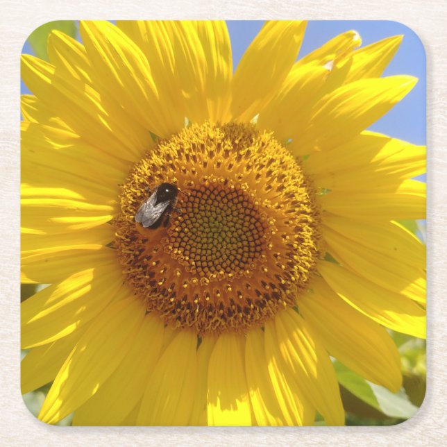 Gelbe Sonnenblume Rechteckiger Pappuntersetzer (Vorderseite)