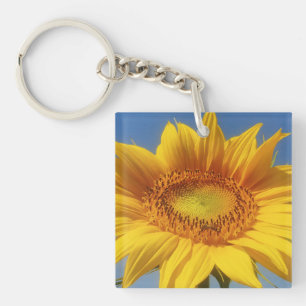 Gelbe Sonnenblume Schlüsselanhänger