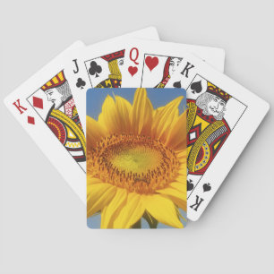 Gelbe Sonnenblume Spielkarten