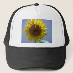 Gelbe Sonnenblume Truckerkappe