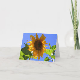 Gelbe Sonnenblume und Honigbiene - Sommerkarte Dankeskarte