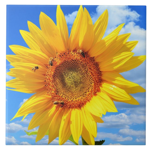 Gelbe Sonnenblume und Keramik Bienen Fliese (Vorderseite)