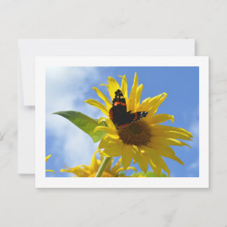 Gelbe Sonnenblume und Roter Admiral Butterfly Postkarte