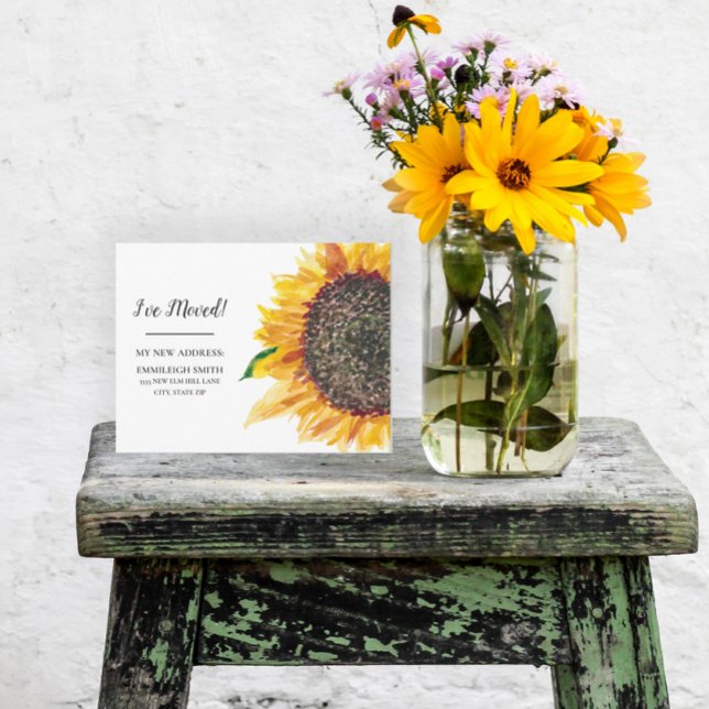 Gelbe Sonnenblume Weiß Postkarte (Von Creator hochgeladen)