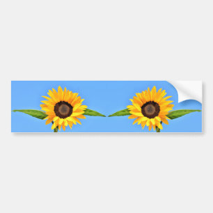 Gelbe Sonnenblumen auf blauem Himmel - Sommer Autoaufkleber