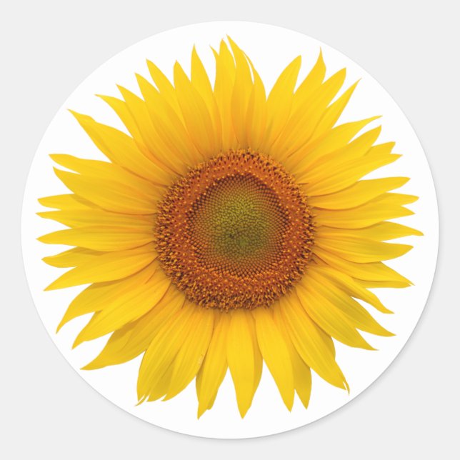 Gelbe Sonnenblumen Blume Umschlag Aufkleber Sticke (Vorderseite)