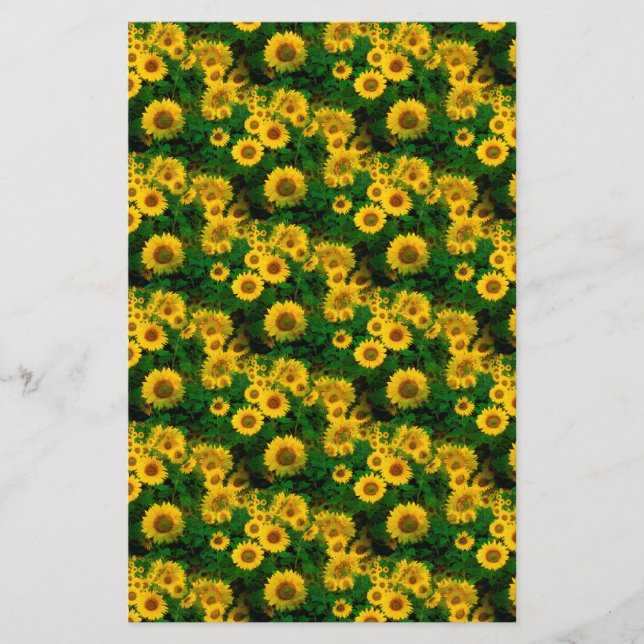 Gelbe Sonnenblumen Briefpapier (Vorderseite)