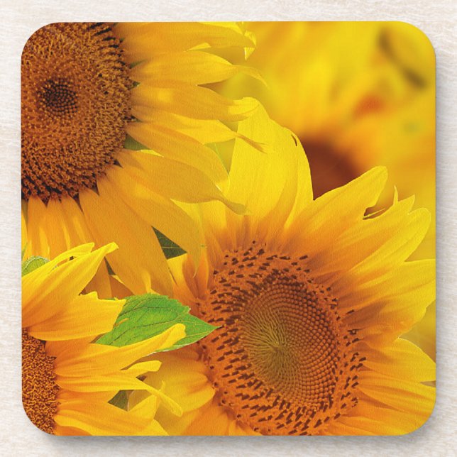 Gelbe Sonnenblumen Cork Untersetzer (Vorderseite)