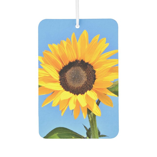 Gelbe Sonnenblumen Freiburger Autolufterfrischer (Vorderseite)