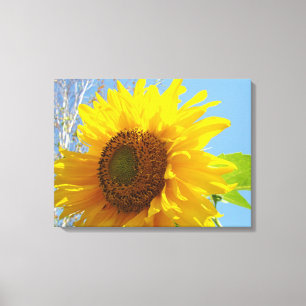 Gelbe Sonnenblumen-Leinwand-Fotografie Fine Art Leinwanddruck