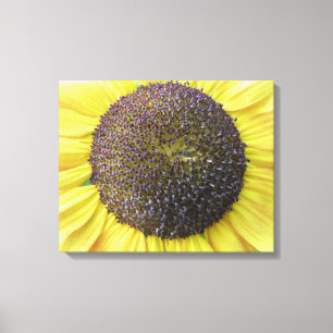 Gelbe Sonnenblumen-Leinwanddruck Leinwanddruck