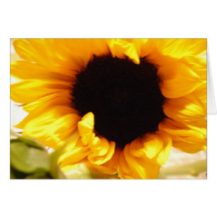 Gelbe Sonnenblumen-Notizkarte Postkarte
