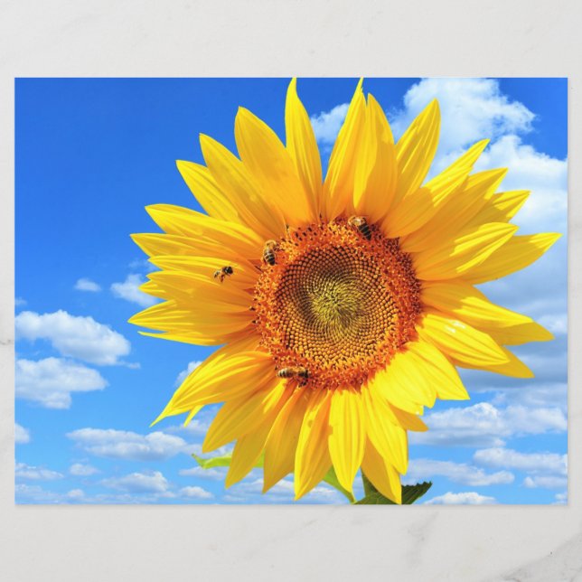 Gelbe Sonnenblumen und Bienen auf blauem Himmel -  Flyer (Vorne)