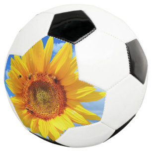 Gelbe Sonnenblumen und Bienen auf blauem Himmel -  Fußball