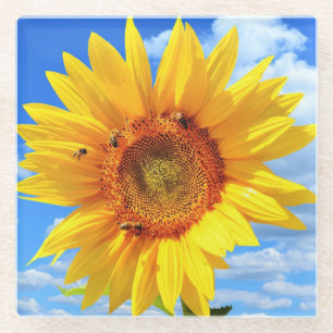 Gelbe Sonnenblumen und Bienen auf blauem Himmel -  Glasuntersetzer