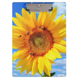 Gelbe Sonnenblumen und Bienen auf blauem Himmel -  Klemmbrett