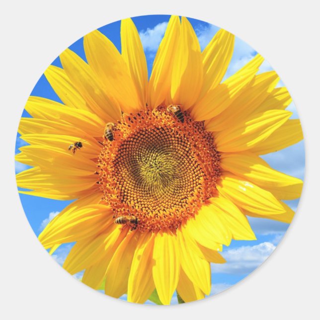 Gelbe Sonnenblumen und Bienen auf blauem Himmel -  Runder Aufkleber (Vorderseite)