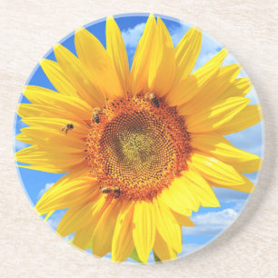 Gelbe Sonnenblumen und Bienen auf Blue Sky Unterse Getränkeuntersetzer