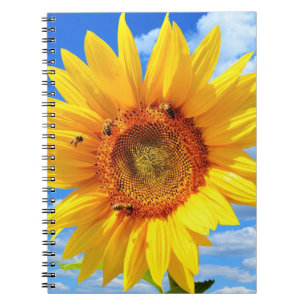 Gelbe Sonnenblumen und Bienenkapital Notizblock