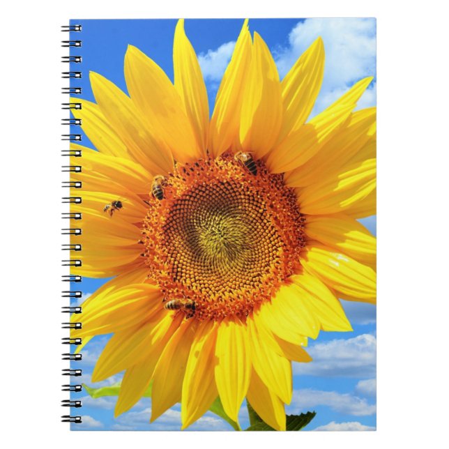 Gelbe Sonnenblumen und Bienenkapital Notizblock (Vorderseite)