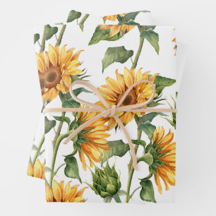 Gelbe Sonnenblumen und Blätter Aquarellgarten