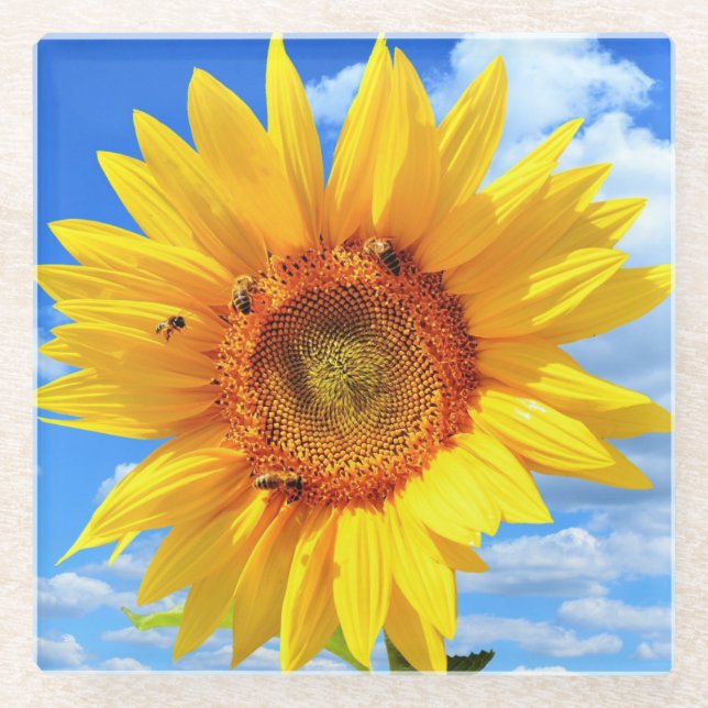 Gelbe Sonnenblumen und Untersetzer aus Bienen Blau (Vorderseite)