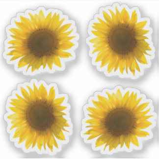 Gelbe Sonnenblumenaufnahme 4x Set Aufkleber