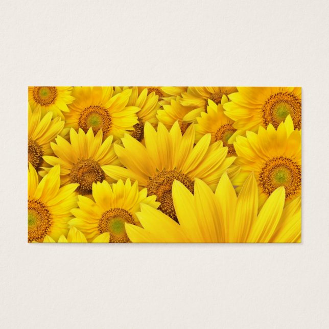 Gelbe Sonnenblumenfelder (Vorderseite)