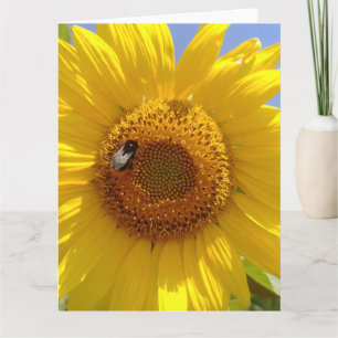 Gelbe Sonnenblumenkarte Karte