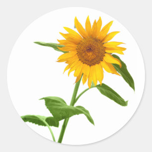 Gelbe Sonnenblumenkleber Runder Aufkleber