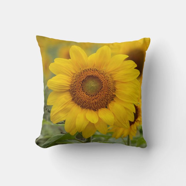 Gelbe Sonnenblumenwürfel Wohngestaltung Kissen (Vorderseite)