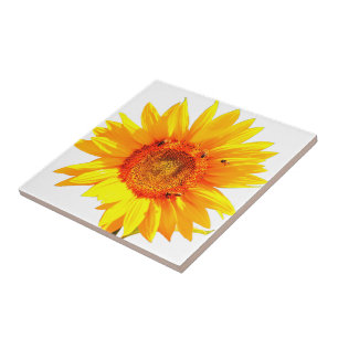 Gelbe Sonnenblumenzange Fliese