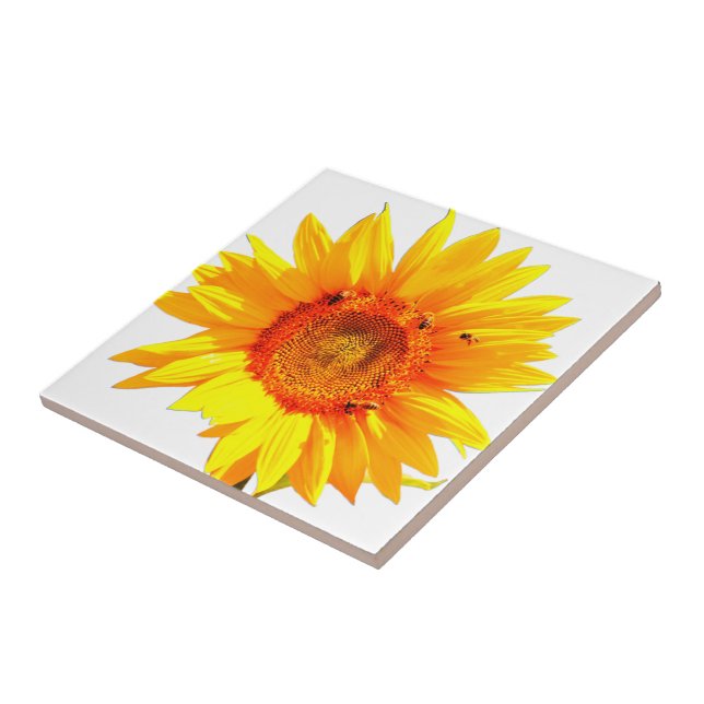 Gelbe Sonnenblumenzange Fliese (Seite)