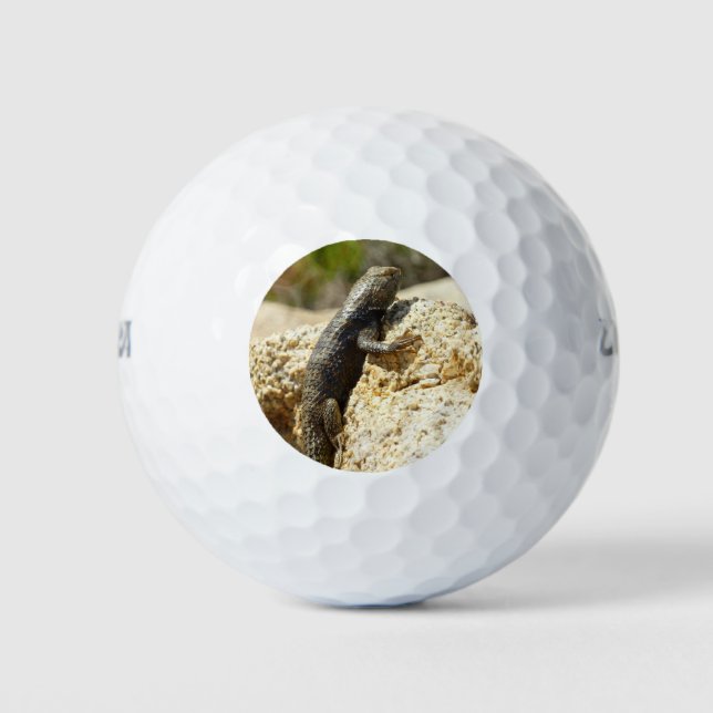 Gelbe Spiny Lizard bei Joshua Tree Golfball (Vorderseite)