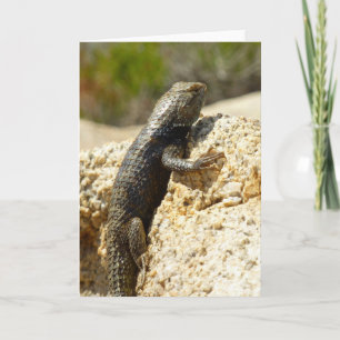 Gelbe Spiny Lizard bei Joshua Tree Karte