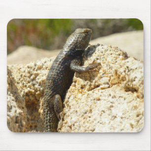 Gelbe Spiny Lizard bei Joshua Tree Mousepad
