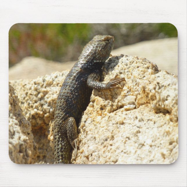 Gelbe Spiny Lizard bei Joshua Tree Mousepad (Vorne)